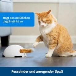 PetSafe Automatisches Katzenspielzeug Fox Den -Katzenbedarf Geschäft 038232be25f9015ce160251d628e0af5cabbc69f 1351524 de DE dbeb3a30744bbc866a12a3ecd4f619007abf0a14xn8Dpf