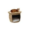 Silvio Design Korbturm Wasserhyazinthe -Katzenbedarf Geschäft 05b7f7f1bcce92207e40d97438272b3204b3948d 9215e76878143fdec6f6417a0e757388d887c44d