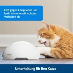 PetSafe Automatisches Katzenspielzeug Fox Den -Katzenbedarf Geschäft 08408a2d9006c3b10c605053b082403622980ada 1351524 de DE 8502feb5da21e0ab937dc8c82ecaeac4aebee886lllVcE