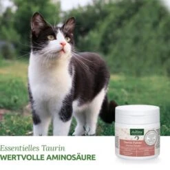 Aniforte Taurin 100g 10 Aniforte Taurin 100g -Katzenbedarf Geschäft 0bea68d016a7aabae30732000f396c44a019efd7 1472617 de DE b3dae817e7a2eb80d599635916b5cd68212f13aaKMDIbR