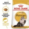 ROYAL CANIN Persian Adult 10 Kg -Katzenbedarf Geschäft 1221e5a04c58484de65ebb4b05975d5cc78faafe 1003120004 de DE main