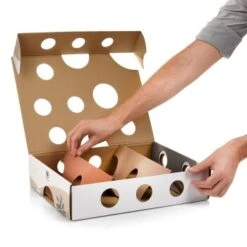 Canadian Cat Company Katzenspielzeug MagicBox -Katzenbedarf Geschäft 142300badb79cca7ad6d02f165f6adb72822700a 1361887 de DE 0a0d8e236e46b38b19bc65d2f7a8b14b65d84da00feNa3