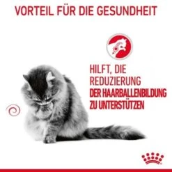 ROYAL CANIN Hairball Care 10 Kg -Katzenbedarf Geschäft 14fa9aa5655c87a7093ec381f4e873eb14036918 1003122014 4