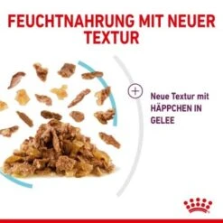 ROYAL CANIN SENSORY Feel In Gelee Für Wählerische Katzen 12x85g -Katzenbedarf Geschäft 15b7f43bf7d21e68f6a5f585ba869435e3d81722 19a1526453e48e05c977a1660234eaf969ffc1a7