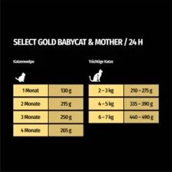 SELECT GOLD Babycat & Mother Pastete Huhn 12x85 G -Katzenbedarf Geschäft 16f6e0f0a8dec64092bb76bac74e7a426373a332 1367186 de DE 7