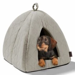 MORE Höhle Diamond -Katzenbedarf Geschäft 1901edb64570eb8cb38c0e72458280ff138dcb40 856e9f8ef094dc77c4e2ce9e6d85768bffa721c6