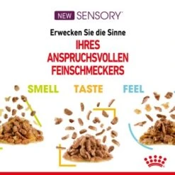 ROYAL CANIN SENSORY Taste In Gelee Für Wählerische Katzen 12x85g 14 ROYAL CANIN SENSORY Taste In Gelee Für Wählerische Katzen 12x85g -Katzenbedarf Geschäft 1a8e624aa43276ea107f2dcd4966cf147aa4f93f ac4c88b72144234bc5f222dd77d8979fd143e101