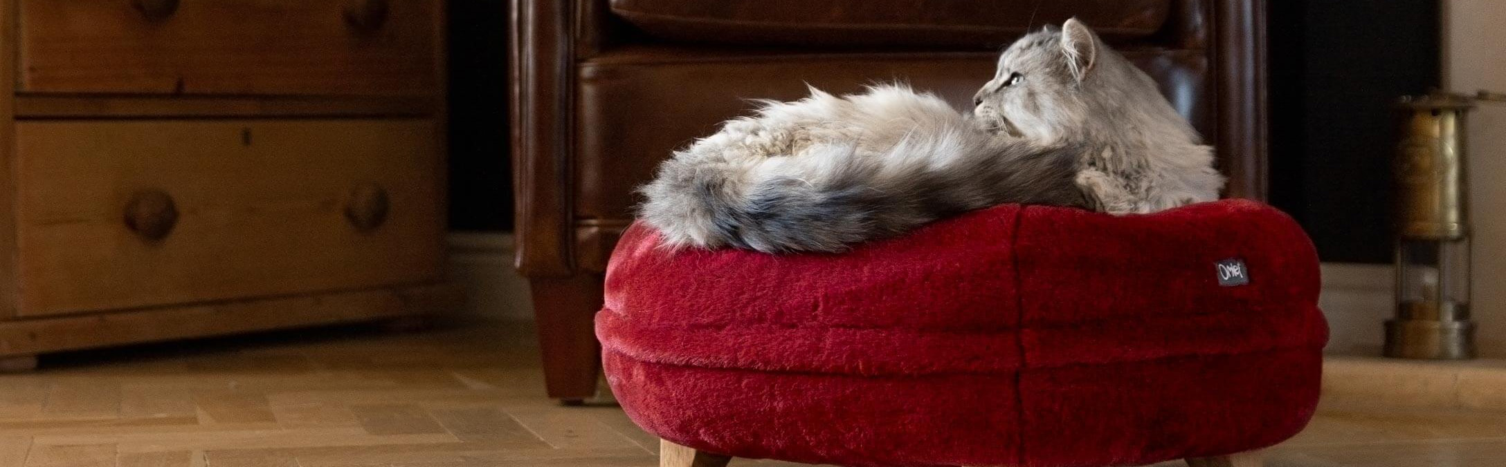 Katzenbedarf Geschäft -Katzenbedarf Geschäft 2