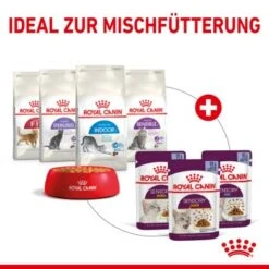 ROYAL CANIN SENSORY Smell In Gelee Für Wählerische Katzen 12x85g -Katzenbedarf Geschäft 25c7f2b0017090b05172a164b94d24299f626039 5b9b3776479c43ed4449b8634046c65b7d96c1fe