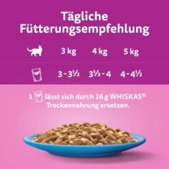 Whiskas Jumbo Pack 1+ Fisch Auswahl In Gelee 80 X 85g -Katzenbedarf Geschäft 27393c6f070954de8517b14da99923a6e9b7c78e 1410724 de DE Whiskas 2