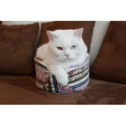 Canadian Cat Company Katzenschiff LUNA -Katzenbedarf Geschäft 2a794931f9263820d298c92486fc08c7b5fe3a35 1412669 de DE 46780a4b5da8fe052e5be00462eb02991658c41f2ZgeMs