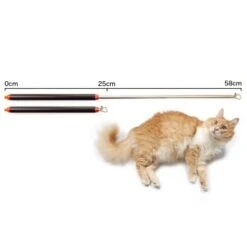 Schlitzohr Stabile Katzenangel Arnold -Katzenbedarf Geschäft 2b03aaa8061d454c3b132f3d29075b579f022315 1484671 de DE 4db6a969e0582cf4b987acff93cb66c6c6149da6OAB1hx