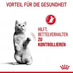 ROYAL CANIN Appetite Control Care 12 X 85 G -Katzenbedarf Geschäft 2baff52405d772a15eb8921bf3aeded5540de702 1344684 1