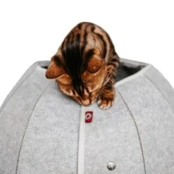 Canadian Cat Company Katzenhöhle In Kugelform S -Katzenbedarf Geschäft 2ecb868df2d3b2cf90a9092caebd3c19caa20008 1347679 de DE 9620a1f8944edc55aec2b992d490644e015c022abD41s1