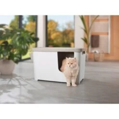 MORE FOR Katzentoilette XXL Titan -Katzenbedarf Geschäft 331a65ecbdbda6a54304894f23caf93293414f9a 41a7dcb3b92b8da7531785b268f381c1b25bbf04