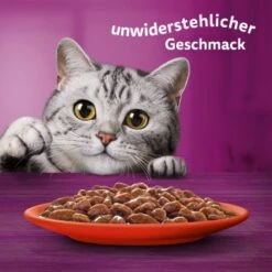 Whiskas Jumbo Pack 1+ Klassische Auswahl In Sauce 80 X 85g -Katzenbedarf Geschäft 3358e429db606f0ebe5774678dd71494a01905e3 1410721 de DE Whiskas 6