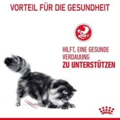 ROYAL CANIN Digestive Care 10 Kg -Katzenbedarf Geschäft 33836b78e4dfe5d72c6cf6742ac3f6af2f72a25c 1084985 4