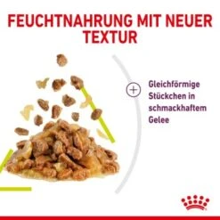 ROYAL CANIN SENSORY Smell In Gelee Für Wählerische Katzen 12x85g -Katzenbedarf Geschäft 3469e2789c9f64bff26f87bbac39ba0a4ed440ea 45f33cf5dbb691236fc67f7b11a07842abb35bb4