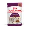 ROYAL CANIN SENSORY Taste In Soße Für Wählerische Katzen 12x85g -Katzenbedarf Geschäft 39a4cf15e78042400921b6de1757e46753c01bd3 1368004 de DE Rcsens