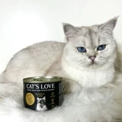 CAT'S LOVE Senior Ente 12x85g -Katzenbedarf Geschäft 3bcde63305db640cc31c45d66692d87deab039b4 1391449 2