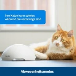 PetSafe Automatisches Katzenspielzeug Fox Den -Katzenbedarf Geschäft 436796eddc653fbc5ba6c19e00138d58f340ef52 1351524 de DE 2c07966cfa5d20e79e732d930dea56115af33e3axxjuix