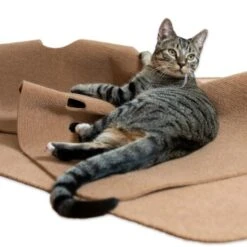 Canadian Cat Company Spielteppich Für Katzen Braun -Katzenbedarf Geschäft 446d45749f5e58cb5a7dbc00eb3558dbe40784fe 1394213 de DE 80770b9625226d955903498b97e7018485822aeeDB3L2u
