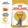 ROYAL CANIN British Shorthair Adult 2 Kg -Katzenbedarf Geschäft 4b039ca93cfefa6ae8c2adf593bb1d9106ed015a 75be17d699ef2bcb05afc093fd94705d9bfe67c1