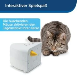 PetSafe Automatisches Katzenspielzeug Cheese -Katzenbedarf Geschäft 4bf213762b84458348ad4dde222bccd0d8e6f0a8 1418723 de DE 66b781419c3a9a05dbaecf1b142c67f8ea6f21fbRLCfdd