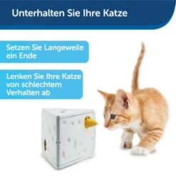 PetSafe Automatisches Katzenspielzeug Cheese -Katzenbedarf Geschäft 4c112de7fe5af21942e197c5273a2c12e4aecd5f 1418723 de DE ac6350c5fa35502dd40d2834518255dfc3ab3dc68jakb9