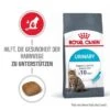 ROYAL CANIN Urinary Care 4 Kg -Katzenbedarf Geschäft 4c1a1447ec95486c76a829b7d5b32cdc97094a92 1189976 2
