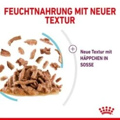 ROYAL CANIN SENSORY Feel In Soße Für Wählerische Katzen 12x85g -Katzenbedarf Geschäft 4d93715bc5a9692f88cd6cacd114ce790b7d5c94 27a1bcd0d7577e59068b36e49f089111bfb1eb06