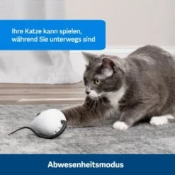 PetSafe Automatisches Katzenspielzeug RoloRat -Katzenbedarf Geschäft 4e48313abe110e77b48862456b3054c8cbc622dd 1351522 de DE cc35ab35cec54291341f643ff079f60e72f56895BvuHXl