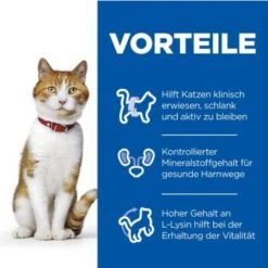 Hill's Science Plan Young Adult Sterilised Mit Huhn 12x85g -Katzenbedarf Geschäft 4eb0879ae29a295dcd46d7f704d8ade292e74d77 52742194103 4
