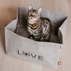 Canadian Cat Company Katzenbett Winnipeg -Katzenbedarf Geschäft 4f163c23f3c00759be25633fb22100eb50b10eed 1360995 de DE e27163ea0c21fd571c9e22268b69a4d1b68affe5UBt2yy