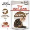 ROYAL CANIN Ageing +12 12x85g In Soße 2 ROYAL CANIN Ageing +12 12x85g In Soße -Katzenbedarf Geschäft 51c74d03fbb260850c5464d8ce114a56be701dda 361ba1d241f5a8ddc581c1d78c31364575b4d345