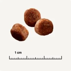 SELECT GOLD Sensitive Digestion Adult Geflügel Und Reis 2,5 Kg -Katzenbedarf Geschäft 571cc49e96eaa29d93cdb9496136ed90f38f0ce7 1243347 de DE 6