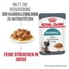 ROYAL CANIN Hairball Care 12 X 85 G 1 ROYAL CANIN Hairball Care 12 X 85 G -Katzenbedarf Geschäft 59aa8094cb4cb6bb163f551c3ffda3a4580b815f 1229818 2