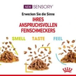 ROYAL CANIN SENSORY Feel In Soße Für Wählerische Katzen 12x85g -Katzenbedarf Geschäft 5daa224637fbd2f88a83d13be1fa9e1fd301df74 40db8d77e4da7407b0e5472ae1d7e23e22421d2e