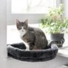Canadian Cat Company Fensterliege Loveseat -Katzenbedarf Geschäft 66337f73db8b339e6168a2f1aa2b0ca3d75fa36a 1412678 de DE 4a3d566863ccf21e4f69b528423c1afc7351f4a3QyPcK0