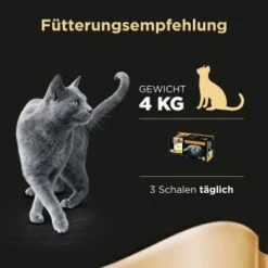 Sheba Selection In Sauce 32x85g -Katzenbedarf Geschäft 67890fa30c253ae14afae90d7afce36bf2d4bf55 f3d10d4a2b41518df483944aaa4f3a790f15504c