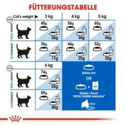 ROYAL CANIN Home Life Indoor 27 10 Kg -Katzenbedarf Geschäft 6855ea56169c61d168abae97a8d80ba01554e9eb 688c4066a69b0c3b06fbf04bd78e076cef620042