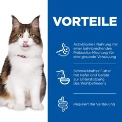 Bestseller -Katzenbedarf Geschäft 6c4d856ad122ec5b63eaa934a8b5ebf0c0b4d341 52742047867 4