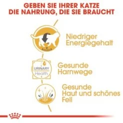 ROYAL CANIN British Shorthair 12x85g -Katzenbedarf Geschäft 6f1dc92b9b52a43d2267d34aab253596e7be143a 7f0fd40bf73b9dd0972df6cd9651a951bdb28212