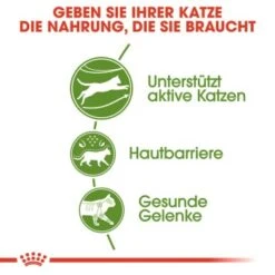 ROYAL CANIN Outdoor 2 Kg -Katzenbedarf Geschäft 6f38c8c684387678ee959af7317c3e75a5e8e9c8 51dc470f0f03efd4d23f6d5d3e9d517b38f92931