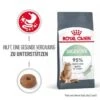 ROYAL CANIN Digestive Care 10 Kg -Katzenbedarf Geschäft 6fe24fa1655b1308132cf235eff60a5586463c2b 1084985 0