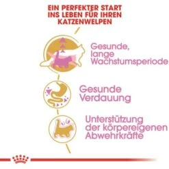 ROYAL CANIN Maine Coon Kitten 4 Kg -Katzenbedarf Geschäft 762fe3d95c521f1c9aed31bc11ea5f813cb64625 48abad1c00ba32352c5f4e40b8a5a9d5e4dec65f