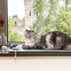 Canadian Cat Company Filzmatte Für Fensterbank Hellgrau S -Katzenbedarf Geschäft 7885f06a61233bc404e6a3aa7f8cd882fde8d497 1498575 de DE 613cf8659fcca6edb1e226239a406f420c510b04Tro7m3