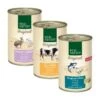 REAL NATURE Adult Mixpaket 6x400g Mixpaket 1 -Katzenbedarf Geschäft 7d4951d7aba6a1672e3fcec614b3e978887fe601 1244494 de DE EB