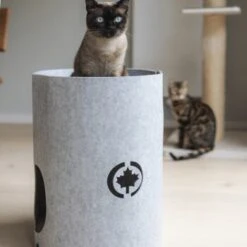 Canadian Cat Company Filzbett Owen-Tower -Katzenbedarf Geschäft 7de15b7ab3d0a3da50a54b91f1a6b746b12be302 1394209 de DE 768a45a9be27cfd0fb27e1bf0942b4e67e500c7ee16ity