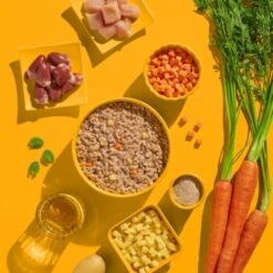 Fred & Felia FELIA 10x200g Huhn -Katzenbedarf Geschäft 7e93c87f3bf5a7c166224c4e2c11e0bf359859f3 1422055 de DE 62374aa99ffbad947366c1bb2c8fe35cf502571cJBPclz